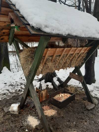 Wokół hotelu – 20210417 084523