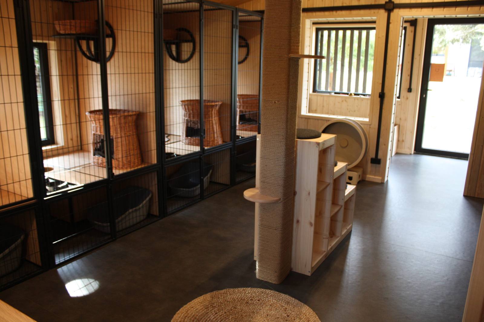Wnętrze hotelu dla kotów Kotel Zen