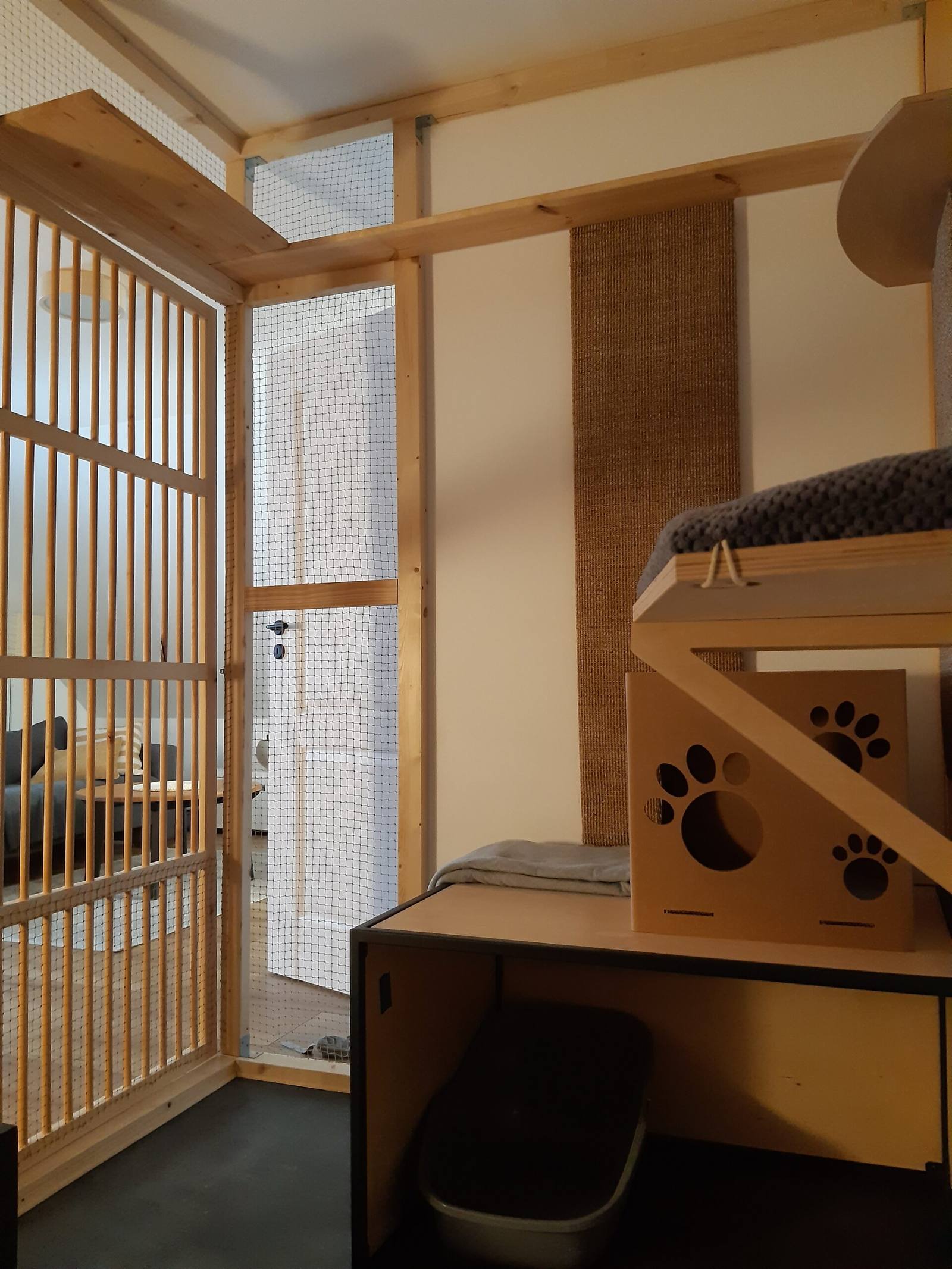 Apartament 3