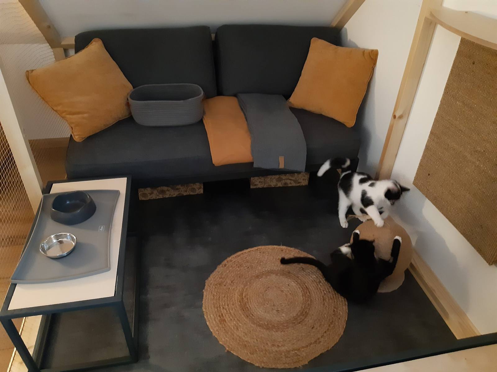Apartament 4