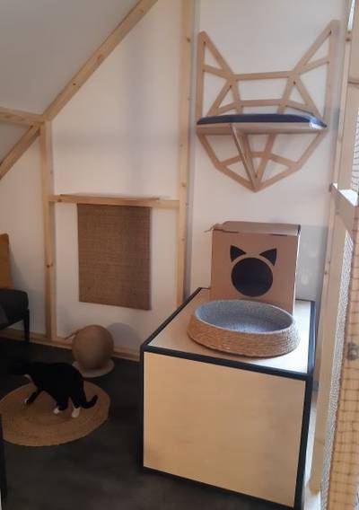 Hotel – apartament3